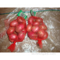 Tamaños 5.0-7.0cm Cebolla Roja Fresca